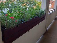 Kiadó panellakás, albérlet