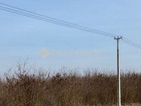 Eladó mezogazdasagi ingatlan, Nyírbogdányon 16.5 M Ft