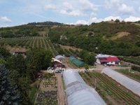 Eladó mezogazdasagi ingatlan