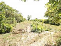 Eladó családi ház, Lóréven 34.9 M Ft, 3 szobás