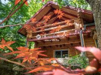 Eladó családi ház, Kismaroson 239 M Ft, 3 szobás