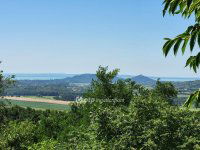 Eladó mezogazdasagi ingatlan, Gyulakeszin 19 M Ft