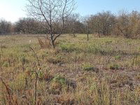 Eladó mezogazdasagi ingatlan