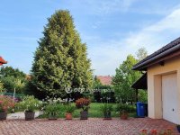 Eladó családi ház, Siklóson 77.9 M Ft, 3 szobás