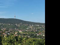 Eladó telek, Pécsett, Rezeda dűlőn 99.9 M Ft