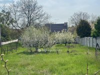 Eladó telek, Budajenőn 75 M Ft / költözzbe.hu