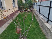 Eladó családi ház, Monorierdőn 52.5 M Ft, 2 szobás