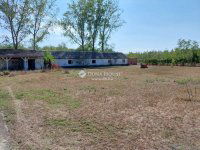 Eladó mezogazdasagi ingatlan