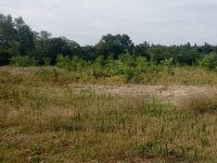 Eladó ipari ingatlan