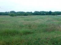 Eladó telek, Dabason 57 M Ft / költözzbe.hu