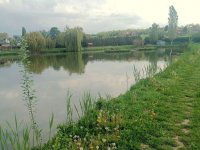 Eladó mezogazdasagi ingatlan, Pécsváradon 140 M Ft