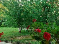 Eladó családi ház, Szederkényen 74.99 M Ft, 5 szobás