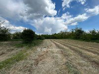 Eladó családi ház, Gáborjánban 5.5 M Ft, 2 szobás