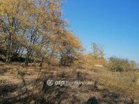 Eladó mezogazdasagi ingatlan