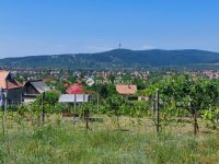 Eladó telek, Pécsett, Cserbokros dűlőn 4.7 M Ft