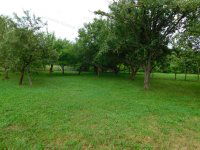 Eladó telek, Kehidakustányban 5 M Ft / költözzbe.hu