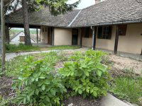 Eladó családi ház, Palotabozsokon 14.9 M Ft, 4 szobás