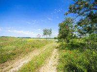 Eladó ipari ingatlan, Inárcson 120 M Ft / költözzbe.hu