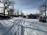 Eladó mezogazdasagi ingatlan