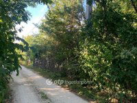 Eladó telek, Gyúrón 10 M Ft / költözzbe.hu