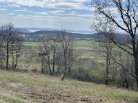 Eladó telek, Balatonszőlősön 85 M Ft / költözzbe.hu