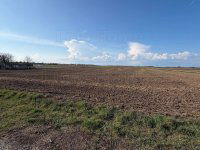 Eladó telek, Balatonszabadiban 25 M Ft / költözzbe.hu