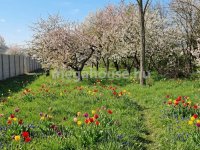 Eladó telek, Érden 59.9 M Ft / költözzbe.hu