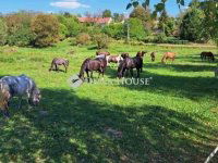 Eladó mezogazdasagi ingatlan, Egerágon 159 M Ft, 5 szobás