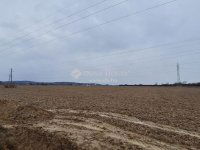 Eladó telek, Zalaegerszegen 115 M Ft / költözzbe.hu
