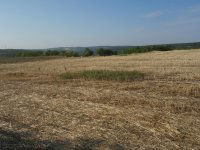 Eladó mezogazdasagi ingatlan