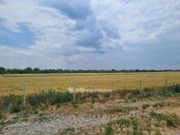 Eladó mezogazdasagi ingatlan, Tiszalúcon 315 M Ft