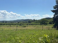 Eladó mezogazdasagi ingatlan, Kékkúton 27 M Ft