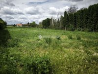 Eladó telek, Győrújfalun 75 M Ft / költözzbe.hu