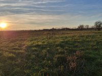 Eladó telek, Pécsudvardon 13.9 M Ft / költözzbe.hu