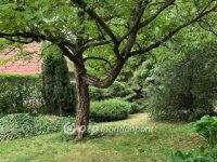 Eladó nyaraló, Solymáron 69.9 M Ft, 1+1 szobás