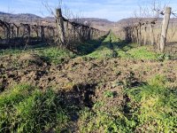 Eladó mezogazdasagi ingatlan, Balatoncsicsón 5.1 M Ft