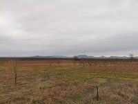 Eladó mezogazdasagi ingatlan