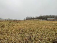 Eladó mezogazdasagi ingatlan, Vásárosmiskén 45 M Ft