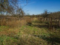 Eladó telek