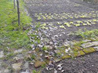 Eladó családi ház, Zalaegerszegen 24 M Ft, 2 szobás