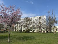 Eladó panellakás, Szegeden 40 M Ft, 2 szobás