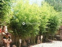 Eladó családi ház, XVIII. kerületben 134.99 M Ft, 7 szobás