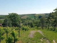 Eladó mezogazdasagi ingatlan, Mohácson 6 M Ft, 2 szobás