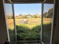 Eladó családi ház, Dömsödön 28 M Ft, 3 szobás