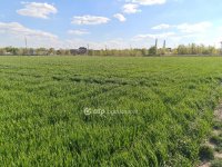 Eladó telek, Szigetszentmiklóson 16.9 M Ft / költözzbe.hu