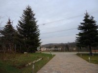 Eladó családi ház, Veszprémvarsányon 119 M Ft, 6 szobás