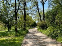 Eladó nyaraló, Dunaharasztin 51.9 M Ft, 1+1 szobás