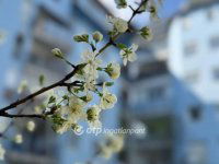 Eladó téglalakás, XIV. kerületben 130 M Ft, 3 szobás