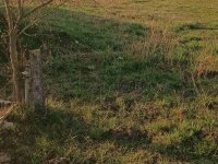 Eladó telek, Söréden 17.8 M Ft / költözzbe.hu