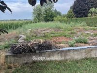 Eladó telek, Csongrádon 7.5 M Ft / költözzbe.hu